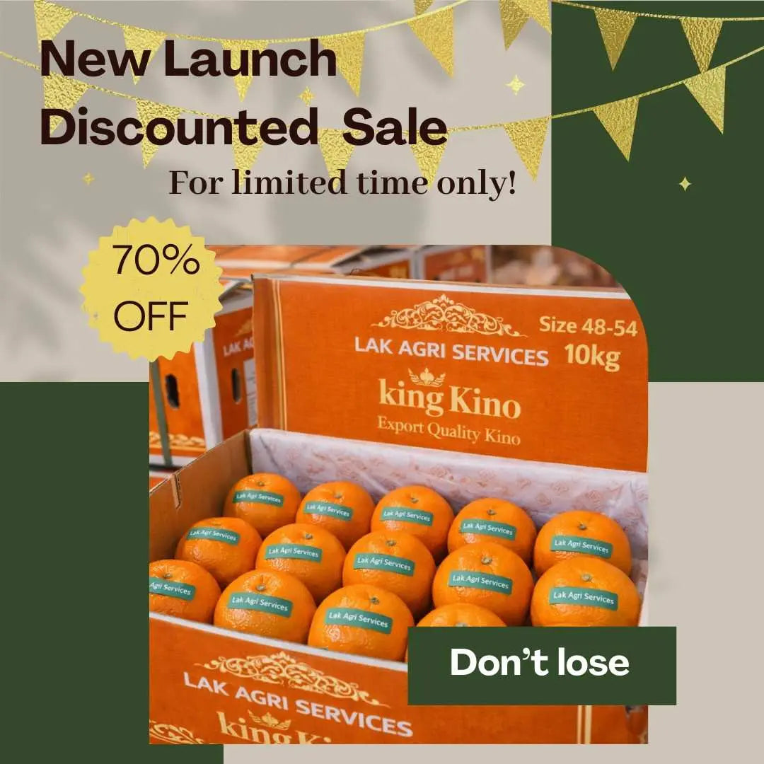   Export Quality Oranges 🍊 (Kino) | 10kg Box   LAK AGRI SERVICES